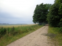 180.jpg
