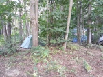 20200723_181307.jpg