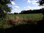 20200723_181847.jpg